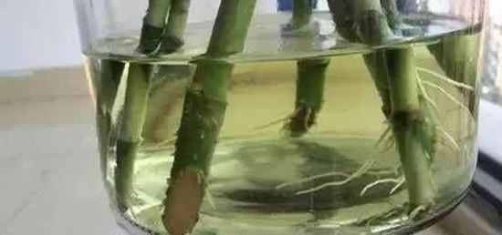 孩子读书风水怎么做成绩能提高【提高成绩的风水】