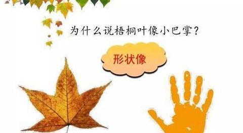 abab的句子abab的词语【abab的句子有哪些长句】