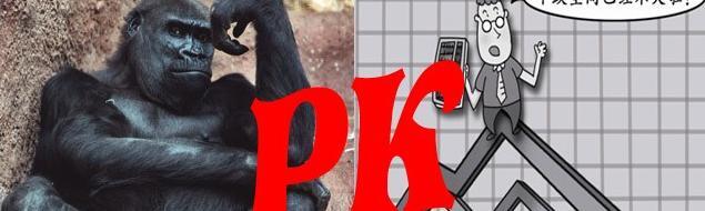 有效市场理论市场真的有效吗【有效市场理论是描述什么的理论】