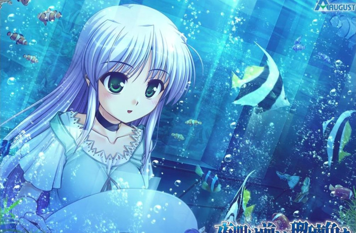 sschara审判曲【sschara是男的还是女的】