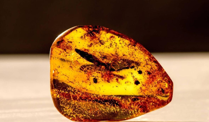 新疆和田玉籽料与俄籽料区别【和田碧玉新疆料和俄料的区别】