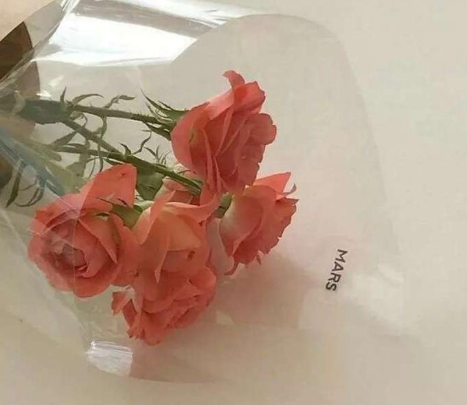 如果有一天我真的消失了说说【如果有一天我突然消失的说说】