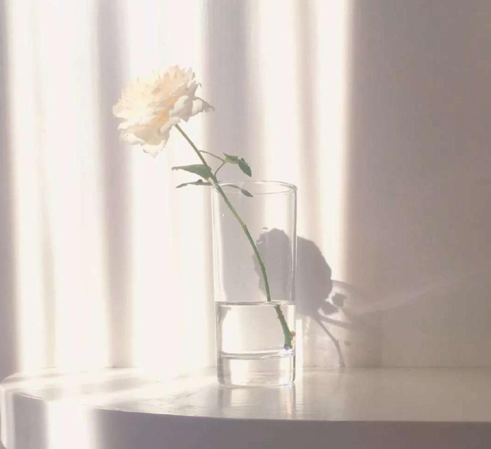 如果有一天我真的消失了说说【如果有一天我突然消失的说说】