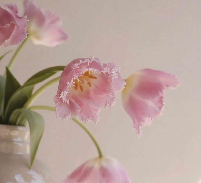 如果有一天我真的消失了说说【如果有一天我突然消失的说说】