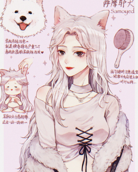 宠物照片大全图片可爱 动漫【宠物照片大全图片可爱 搞笑图片】