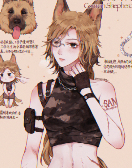 宠物照片大全图片可爱 动漫【宠物照片大全图片可爱 搞笑图片】