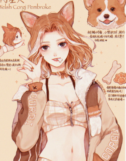 宠物照片大全图片可爱 动漫【宠物照片大全图片可爱 搞笑图片】