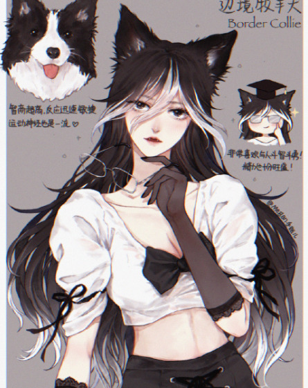 宠物照片大全图片可爱 动漫【宠物照片大全图片可爱 搞笑图片】