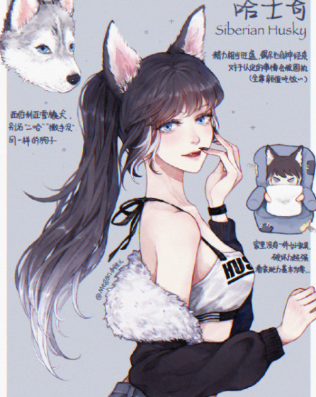 宠物照片大全图片可爱 动漫【宠物照片大全图片可爱 搞笑图片】