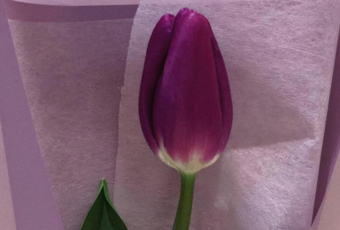 唯一治得住天蝎的星座双鱼【唯一治得住天蝎的星座女】