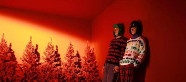 马克华菲logo含义【马克华菲logo海豚】