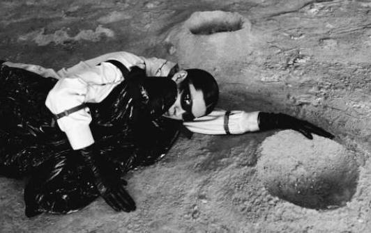 马克华菲logo含义【马克华菲logo海豚】