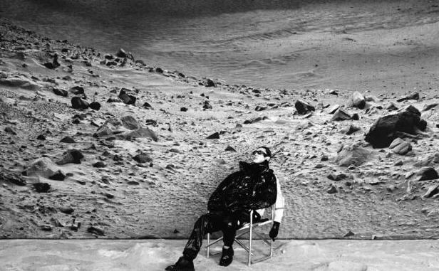 马克华菲logo含义【马克华菲logo海豚】