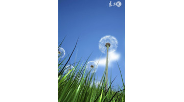 女命漂亮的日柱【阴日柱与阳日柱女人】