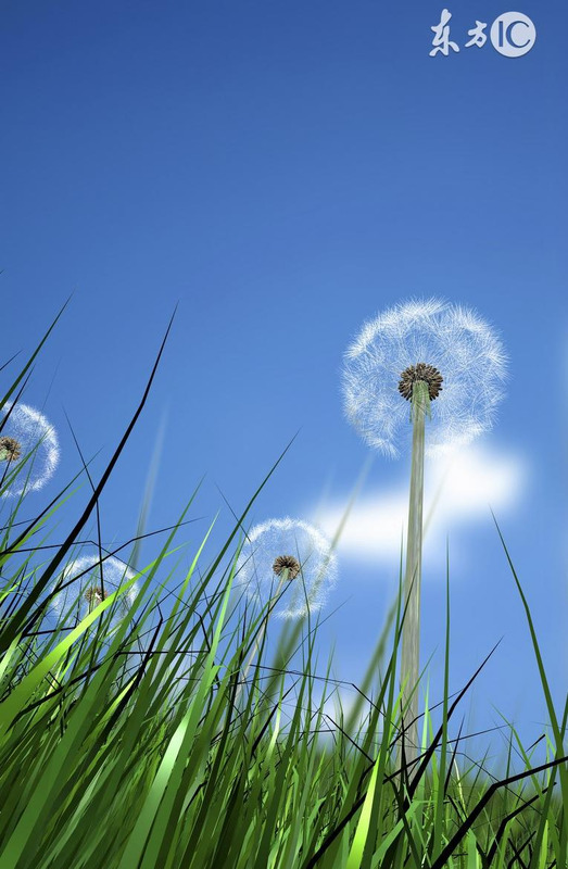 女命漂亮的日柱【阴日柱与阳日柱女人】