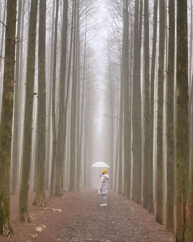 淡青色怎么调【淡青色显白吗】