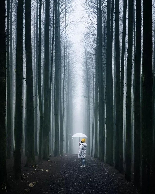 淡青色怎么调【淡青色显白吗】