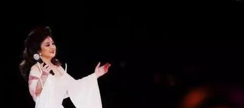 徐小凤个人资料简介【徐小凤个人资料照片】