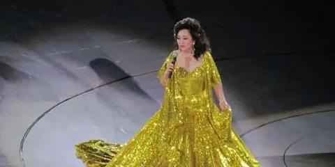 徐小凤个人资料简介【徐小凤个人资料照片】