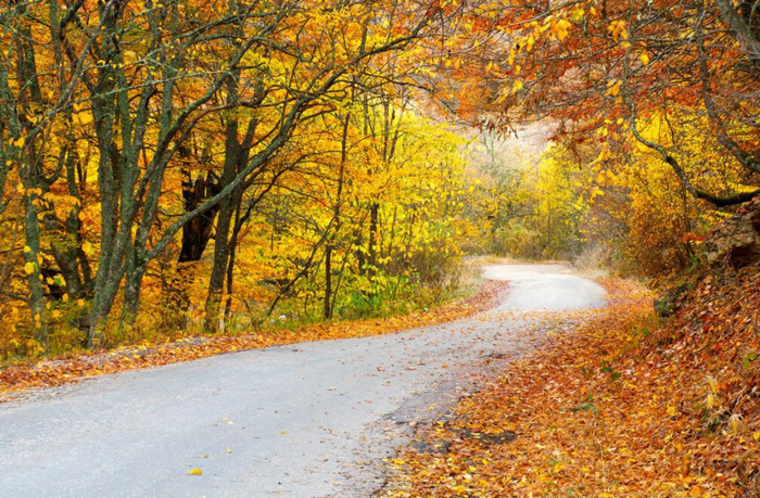 今日头条如何写微头条【怎么写好微头条】