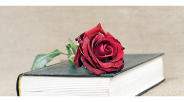 七夕收到礼物的说说心情短语【七夕节送礼物的说说】