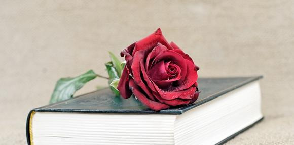 七夕收到礼物的说说心情短语【七夕节送礼物的说说】