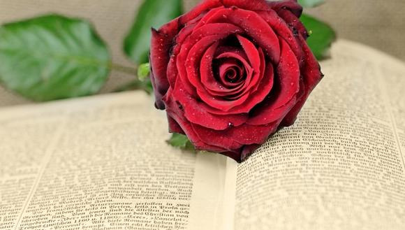 七夕收到礼物的说说心情短语【七夕节送礼物的说说】