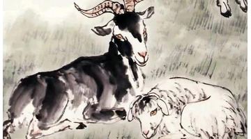 2022年羊人运程1979年女【2022年羊人运程1991年】