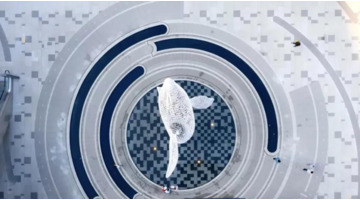 地面铺装图cad平面图【地面铺装图手绘】