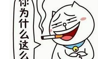 小班运动会口号 简单顺口【小班运动会口号大全 简单】