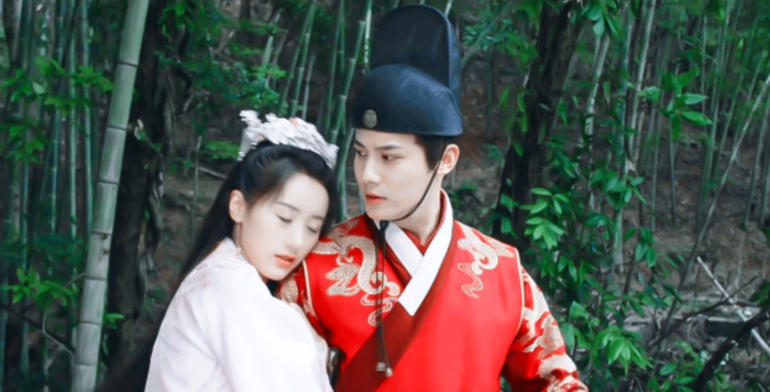 祝卿好原著小说大婚【祝卿好原著小说讲的什么】