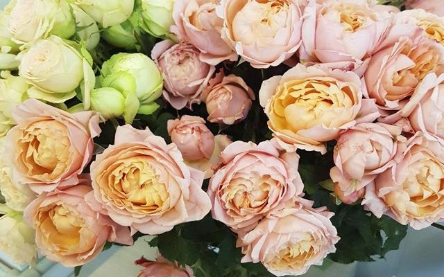 2020新年祝福爱人语 大全【2020新年给爱人的祝福句子】