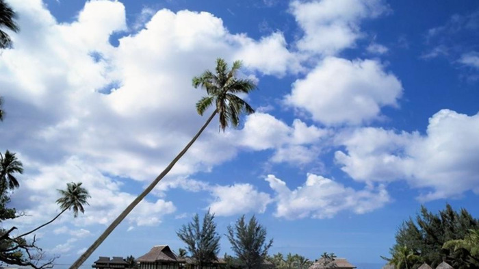 双鱼注定辜负的星座【注定爱上双鱼座的星座】