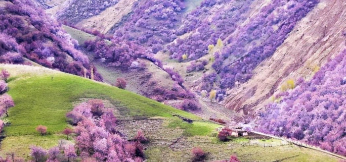 双鱼注定辜负的星座【注定爱上双鱼座的星座】