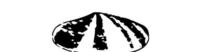 logo设计说明模板200字【品牌logo设计说明】