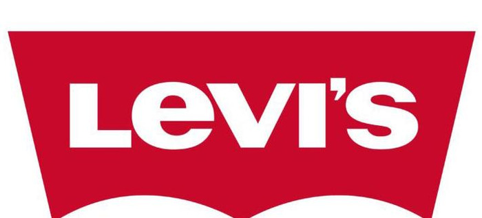 logo设计说明模板200字【品牌logo设计说明】