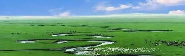 嘎达梅林故事简介100字【嘎达梅林故事简介200字】