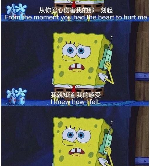 海绵宝宝感动对话壁纸【海绵宝宝截图暖心台词】
