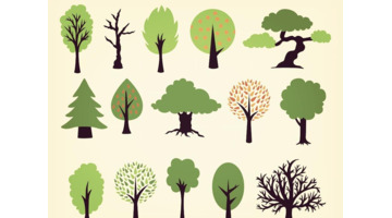 树枝怎么画才好看【树枝怎么画好看】