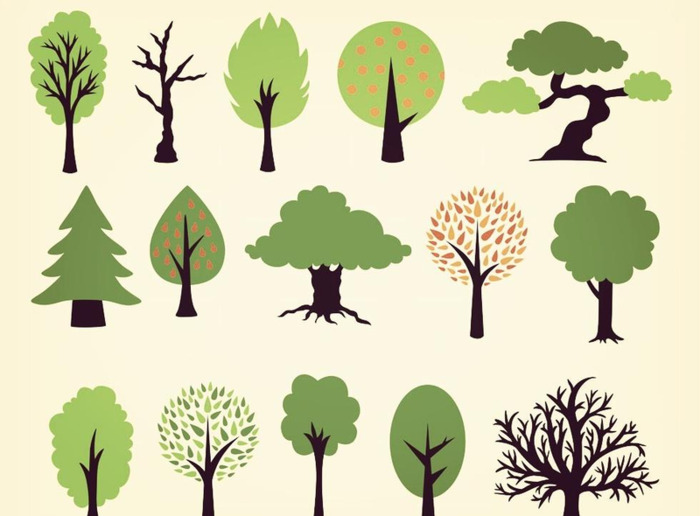 树枝怎么画才好看【树枝怎么画好看】