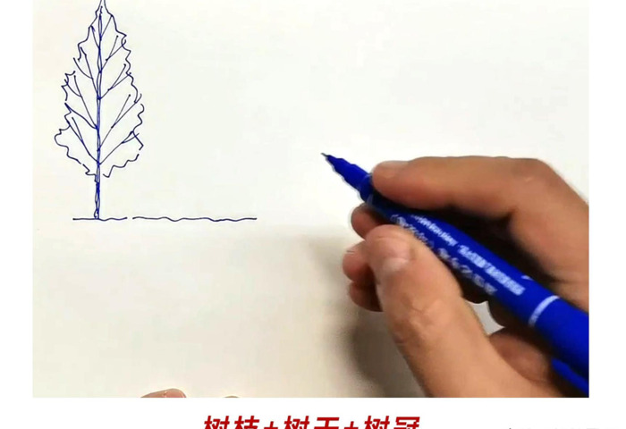 树枝怎么画才好看【树枝怎么画好看】