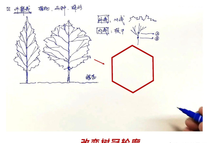 树枝怎么画才好看【树枝怎么画好看】