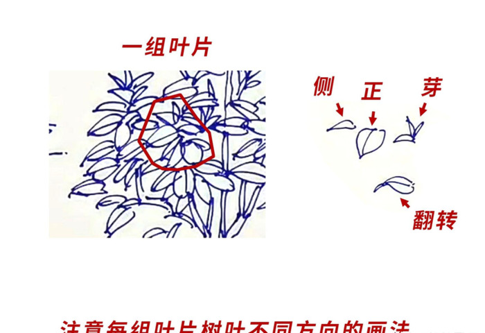 树枝怎么画才好看【树枝怎么画好看】