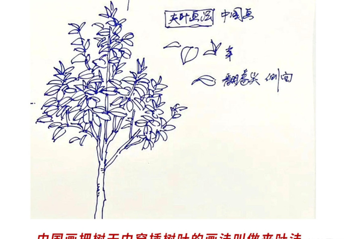 树枝怎么画才好看【树枝怎么画好看】