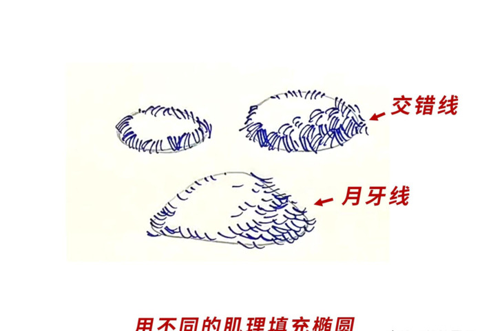 树枝怎么画才好看【树枝怎么画好看】