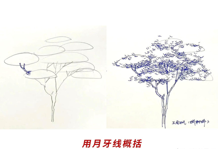 树枝怎么画才好看【树枝怎么画好看】