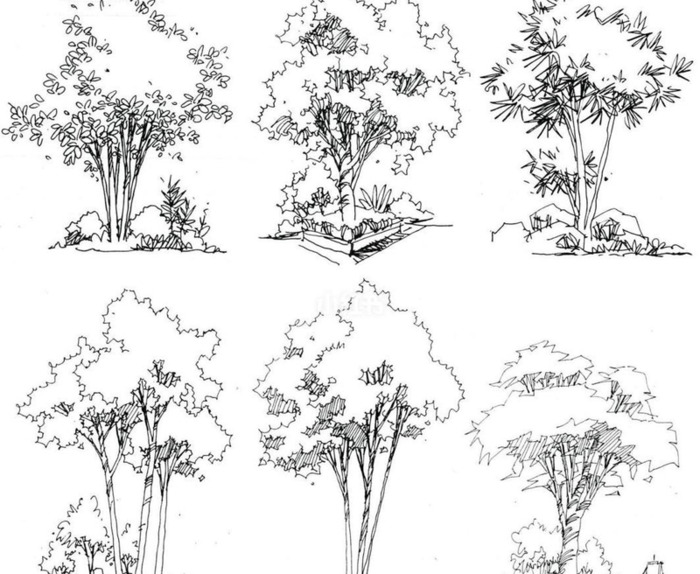 树枝怎么画才好看【树枝怎么画好看】