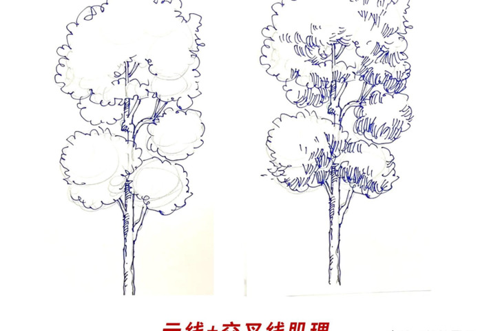 树枝怎么画才好看【树枝怎么画好看】