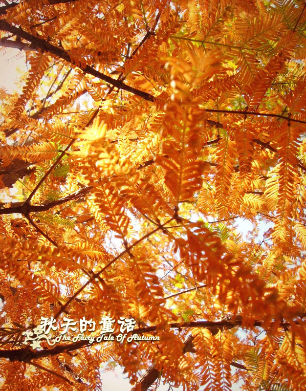 饿木命改运法适合的姓名【饿木命人身上带木改运】