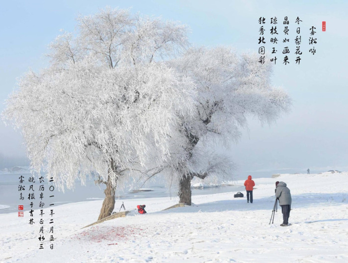 饿木命改运法适合的姓名【饿木命人身上带木改运】